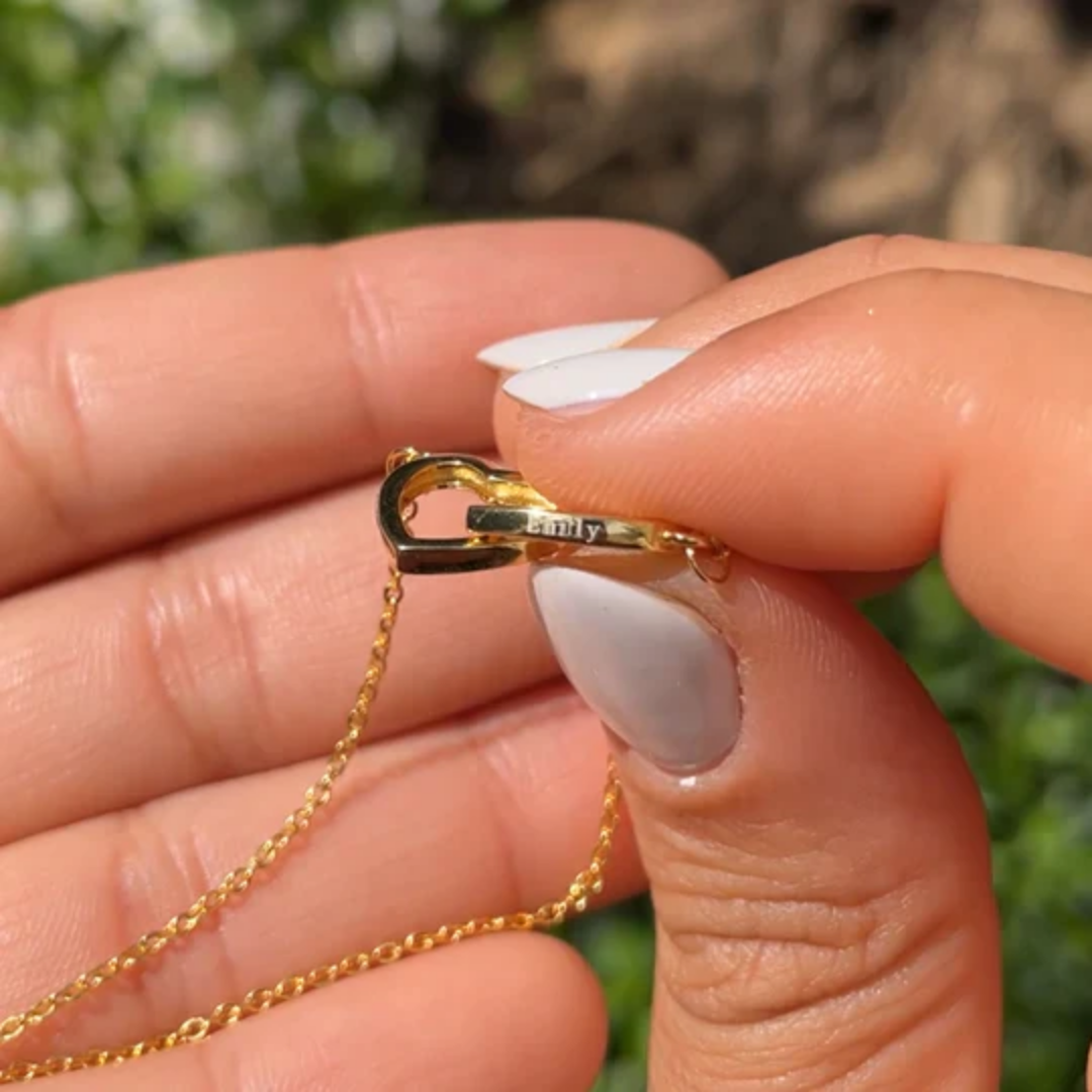 Colar com Nome Personalizado + Urso com Rosa Eternizada